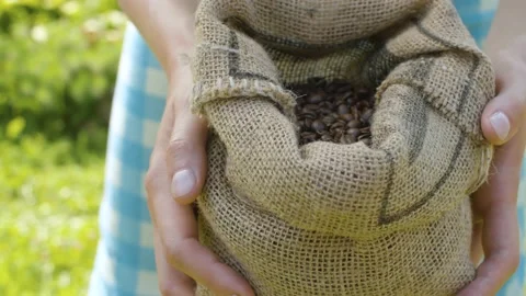 Coffee beans in a burlap sack Stock Footage 137838866