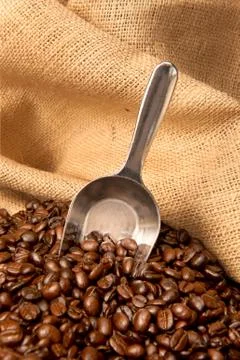 Coffee beans in burlap sack with scoop Stock Photos