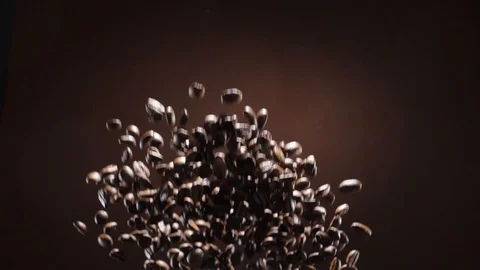Coffee beans burst and fall down Stock-Footage 120073621