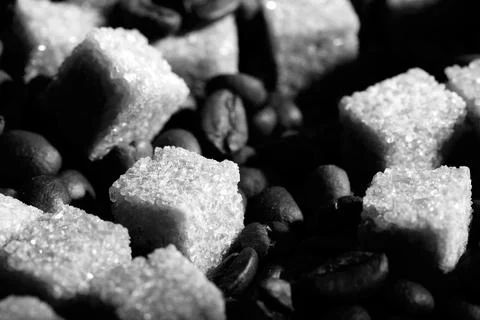 Coffee beans bw Stock Photos