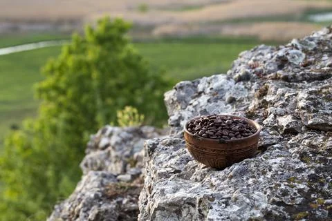 Coffee beans into ceramic bowl. Stock Photos