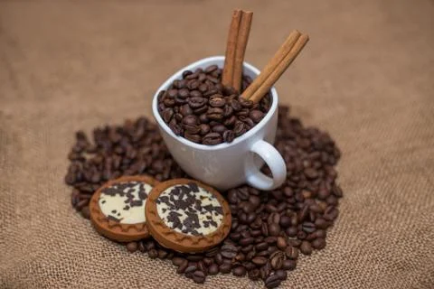 Coffee beans cinnamon cookie white cup and saucer Stock Photos