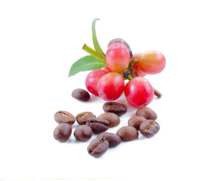 Coffee beans close up on background. Stock Photos