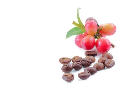 Coffee beans close up on background. Stock Photos