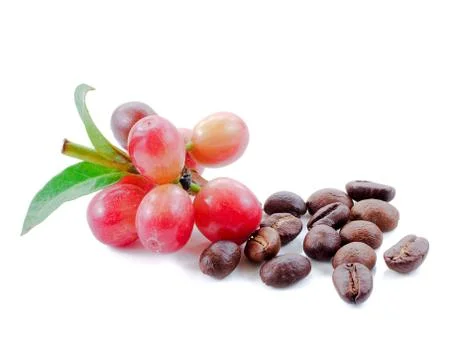 Coffee beans close up on background. Stock Photos