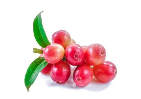 Coffee beans close up on background. Stock Photos