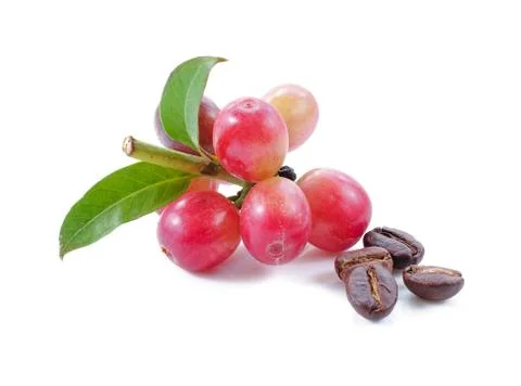 Coffee beans close up on background. Stock Photos