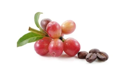 Coffee beans close up on background Stock Photos