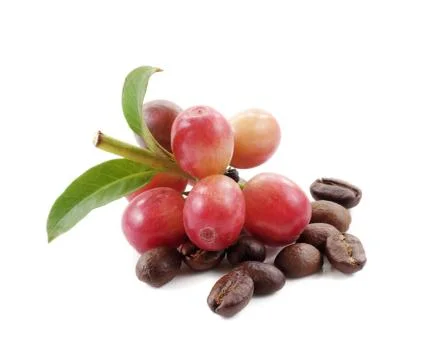 Coffee beans close up on background Stock Photos