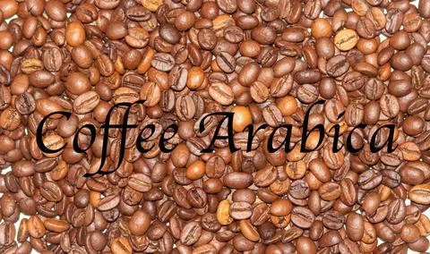 Coffee beans close-up in the background Stock Photos