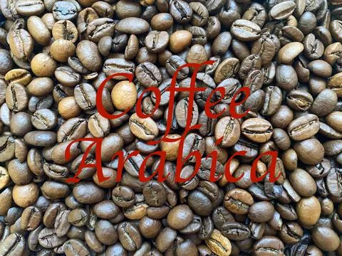 Coffee beans close-up in the background Stock Photos