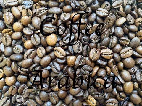 Coffee beans close-up in the background Stock Photos