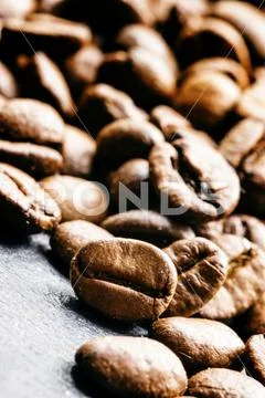 Coffee beans, close-up, black background, selective focus Stock Photos