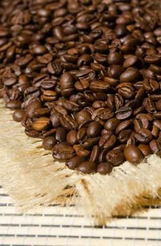 Coffee beans close-up on burlap. Stock Photos