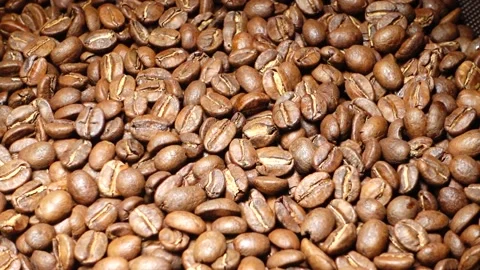 Coffee beans close up in different lights Stock Footage 158452500