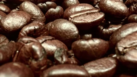 Coffee Beans Close Up Stock Footage 218600915