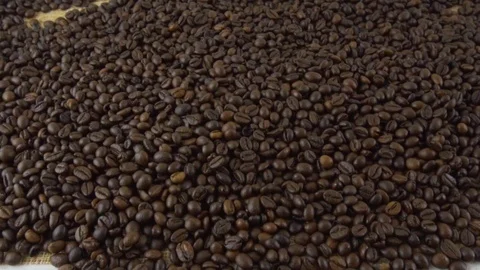 Coffee beans close-up. Fried grains 스톡 동영상 116599054