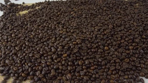 Coffee beans close-up. Fried grains Stock Footage 116599119