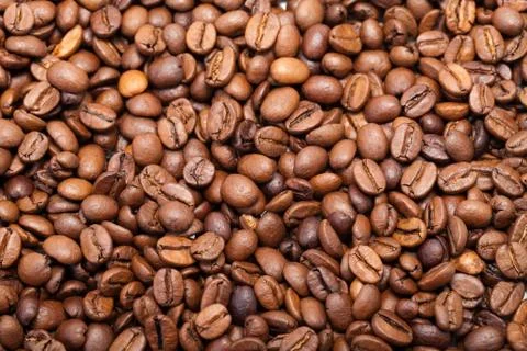 Coffee beans close up isolated on white Stock Photos