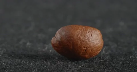 Coffee beans close-up. Macro coffee bean. 動画素材 166494563