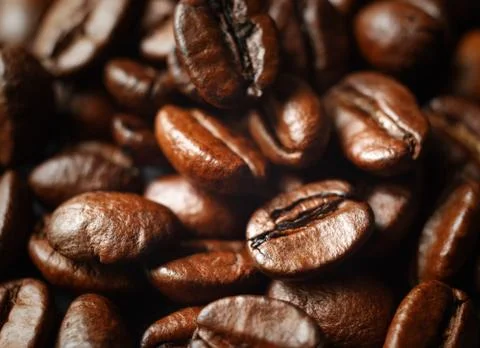 Coffee beans close-up