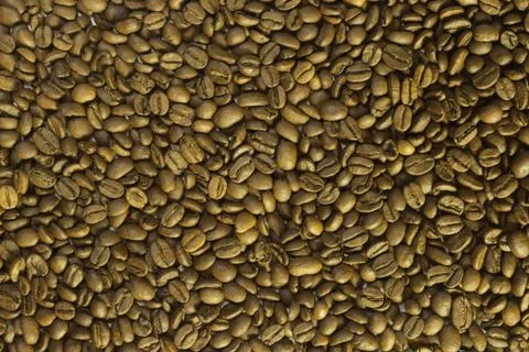 Coffee beans close-up Stock Photos