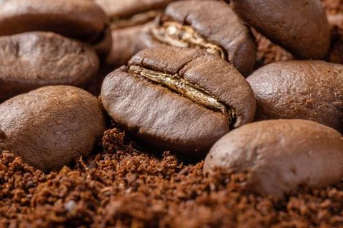 Coffee beans close up. Stock Photos