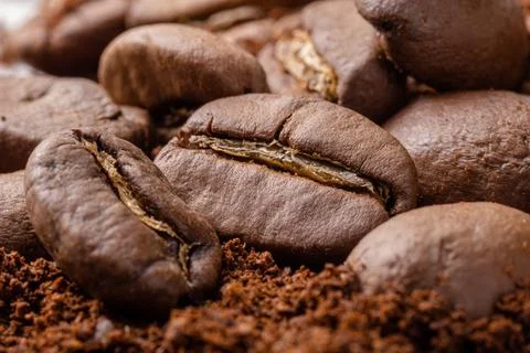 Coffee beans close up. Stock Photos