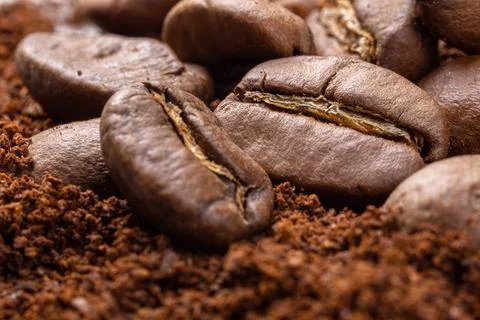 Coffee beans close up. Stock Photos