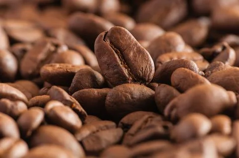 Coffee beans close up Stock Photos