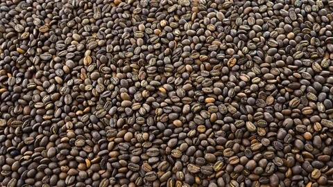 Coffee beans. Close up of roasted coffee beans, flat lay, food background Stock Footage 119291004