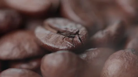 Coffee beans close up rotating with shallow depth of field Stock Footage 274823988