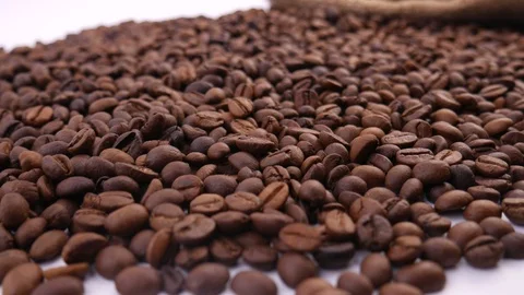 Coffee beans. Close up of seeds of coffee. Beautiful seeds of coffee. Stock Footage 123381012