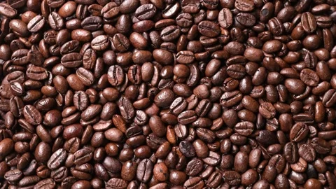 Coffee Beans Close-Up Shot in Natural Environment Food Lush Background Stock Footage 296668574