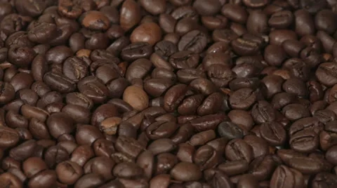 Coffee beans close view Stock Footage 53285188