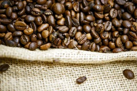 Coffee beans closeup. coffee beans on linen material. coffee plantation theme Foto stock