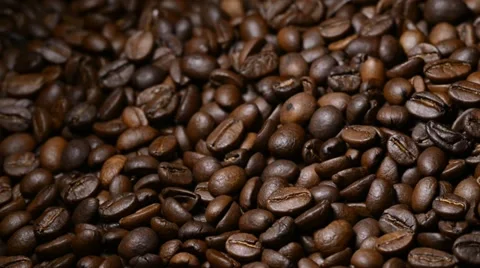 Coffee beans closeup Stock Footage 22105519