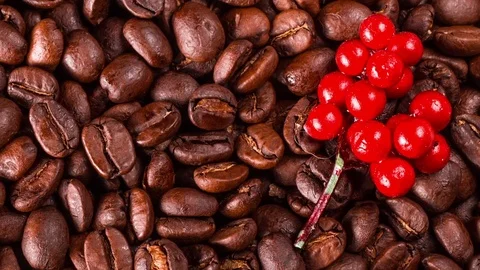 Coffee beans closeup Stock Footage 72671671