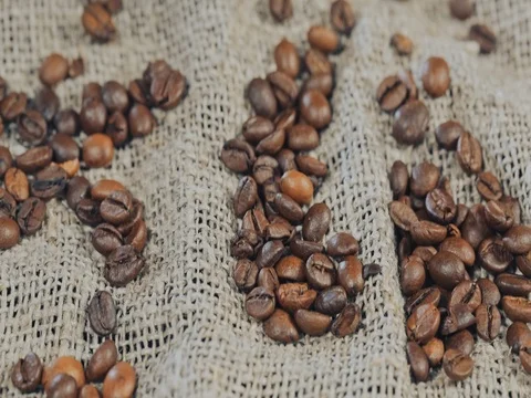 Coffee beans closeup, grain, falling, slow motion 库存影片 73670113
