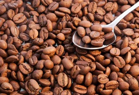 Coffee beans closeup Stock Photos