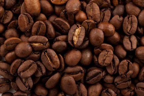 Coffee beans closeup Stock Photos