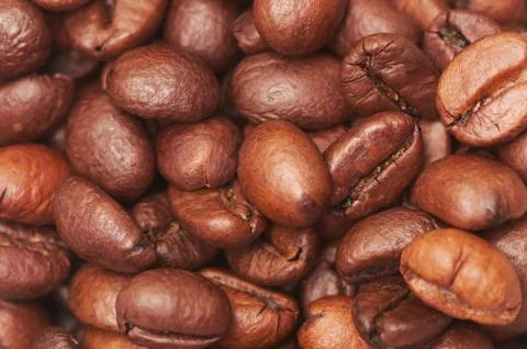 Coffee beans closeup Stock Photos