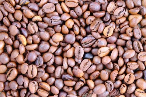 Coffee beans closeup Фото