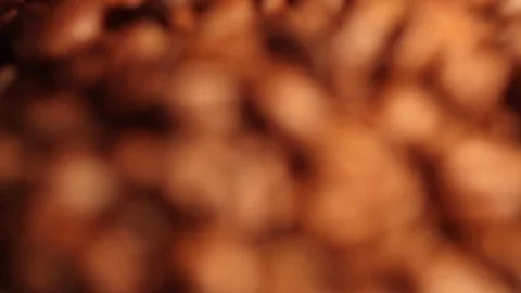 Coffee beans - closeup shot Stock Footage 71715456