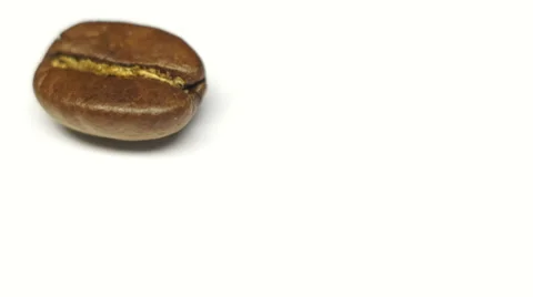 Coffee beans closeup on white background. Rotation view Video stock 45159668