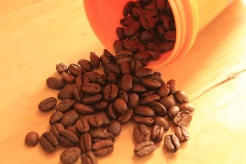 Coffee beans in coffee container isolated on wooden Foto stock