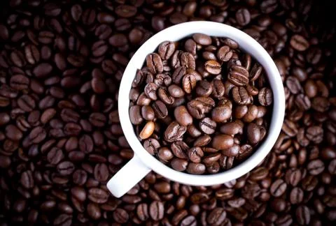 Coffee beans in coffee cup. Macro close up. Stock Photos
