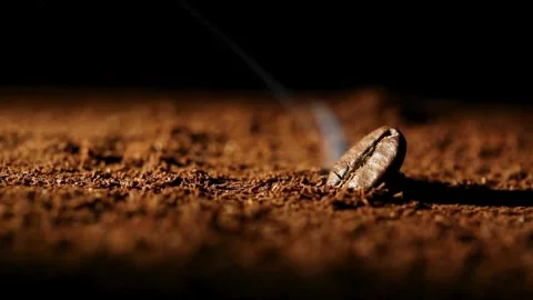 Coffee beans, coffee Stock-Footage 314747384