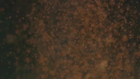Coffee beans, coffee Stock-Footage 314747388