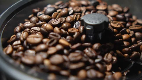 Coffee Beans in Coffee Grinder in 4K Slow Motion Stock Footage 325363822